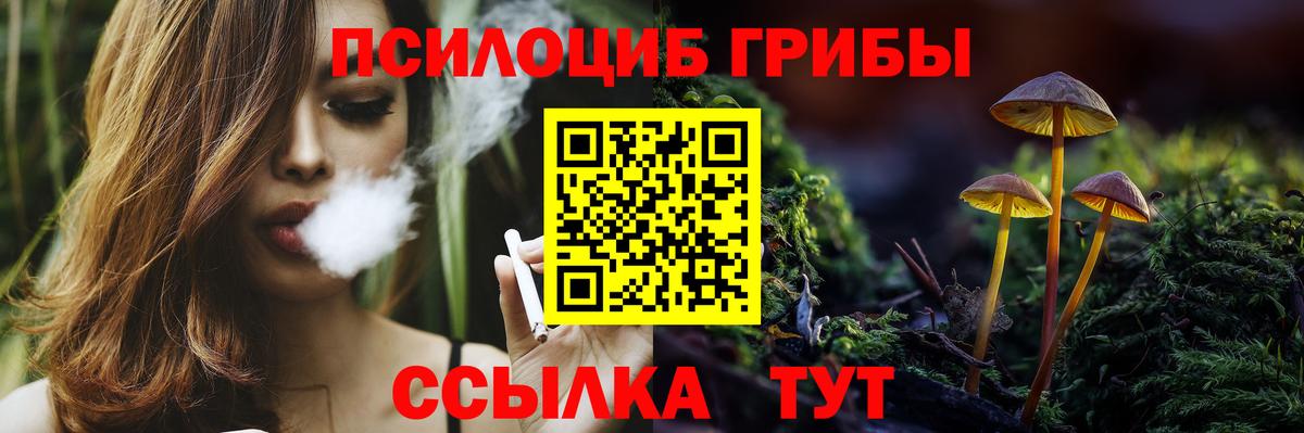 Псилоцибиновые грибы мицелий  Галлюциногенные грибы Cubensis  Норильск  Вход с VPN 